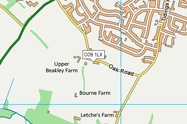 CO9 1LX map - OS VectorMap District (Ordnance Survey) CO9 1LX map - OS VectorMap District (Ordnance Survey)