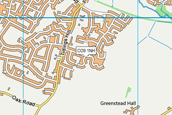 CO9 1NH map - OS VectorMap District (Ordnance Survey) CO9 1NH map - OS VectorMap District (Ordnance Survey)