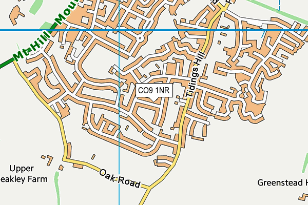 CO9 1NR map - OS VectorMap District (Ordnance Survey) CO9 1NR map - OS VectorMap District (Ordnance Survey)