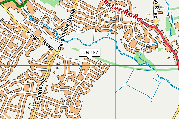 CO9 1NZ map - OS VectorMap District (Ordnance Survey) CO9 1NZ map - OS VectorMap District (Ordnance Survey)