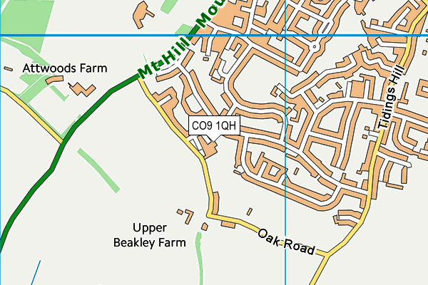 CO9 1QH map - OS VectorMap District (Ordnance Survey) CO9 1QH map - OS VectorMap District (Ordnance Survey)