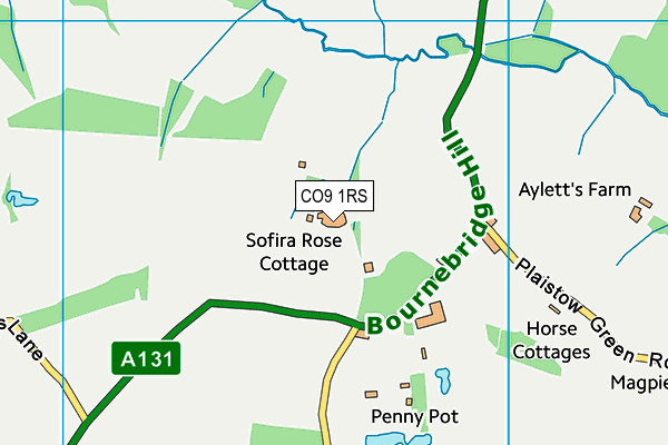 CO9 1RS map - OS VectorMap District (Ordnance Survey)
