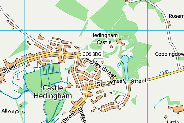 CO9 3DG map - OS VectorMap District (Ordnance Survey) CO9 3DG map - OS VectorMap District (Ordnance Survey)