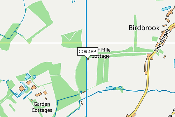 CO9 4BP map - OS VectorMap District (Ordnance Survey) CO9 4BP map - OS VectorMap District (Ordnance Survey)
