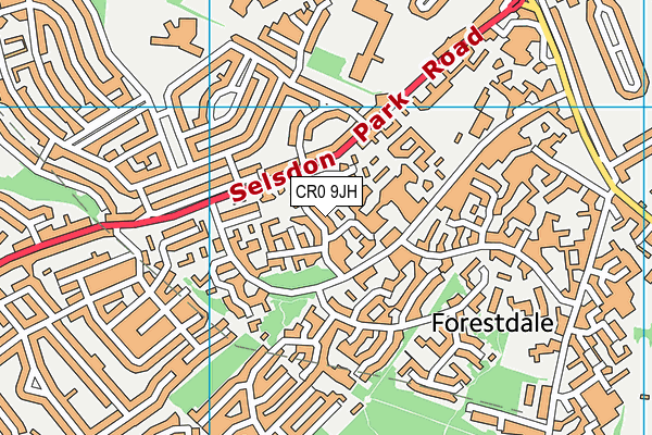 CR0 9JH map - OS VectorMap District (Ordnance Survey) CR0 9JH map - OS VectorMap District (Ordnance Survey)