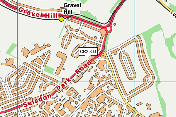 CR2 8JJ map - OS VectorMap District (Ordnance Survey)