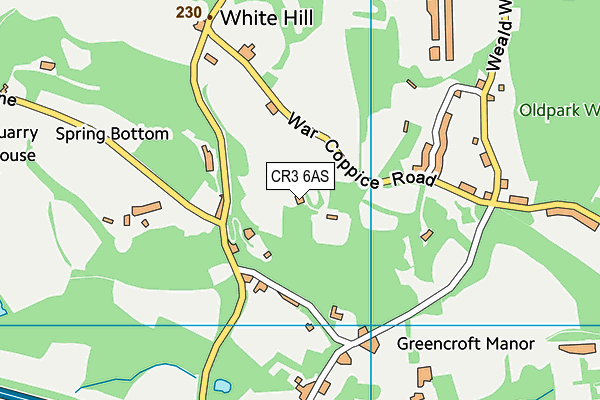 CR3 6AS map - OS VectorMap District (Ordnance Survey) CR3 6AS map - OS VectorMap District (Ordnance Survey)