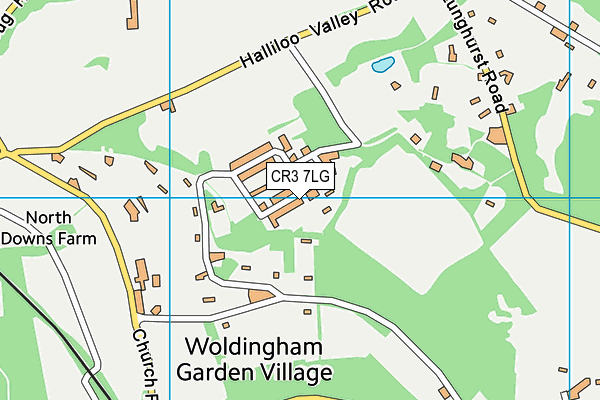 CR3 7LG map - OS VectorMap District (Ordnance Survey) CR3 7LG map - OS VectorMap District (Ordnance Survey)