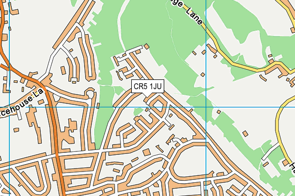 CR5 1JU map - OS VectorMap District (Ordnance Survey)