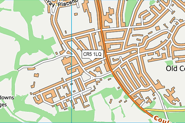 CR5 1LQ map - OS VectorMap District (Ordnance Survey)