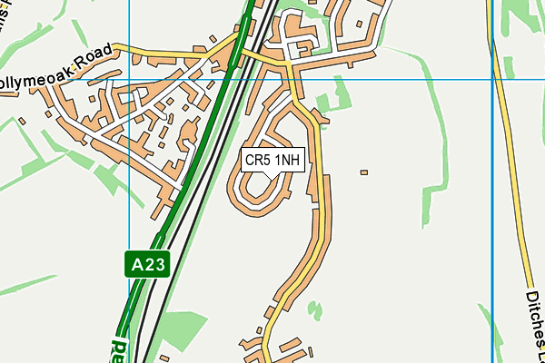 CR5 1NH map - OS VectorMap District (Ordnance Survey)
