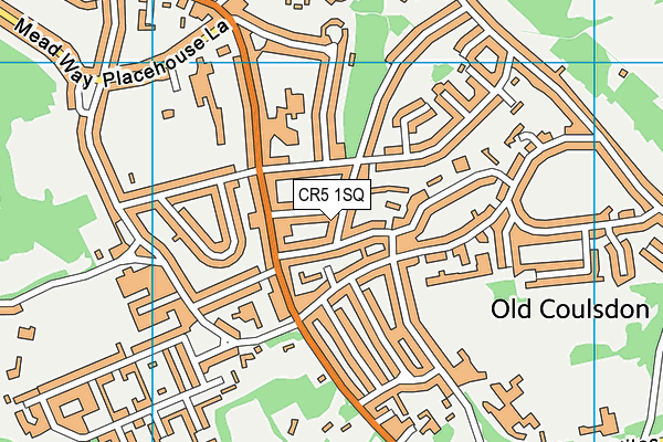 CR5 1SQ map - OS VectorMap District (Ordnance Survey) CR5 1SQ map - OS VectorMap District (Ordnance Survey)