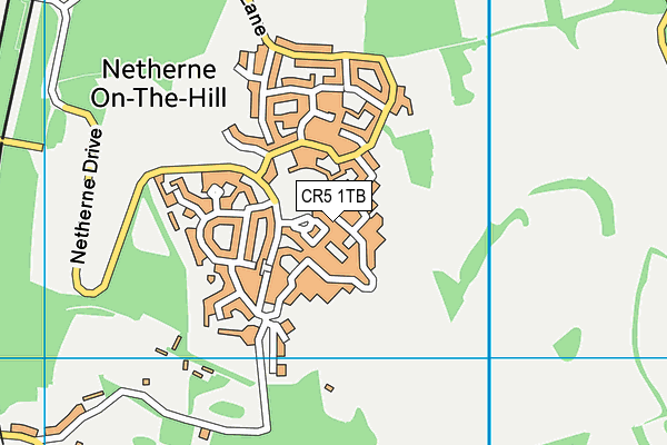 CR5 1TB map - OS VectorMap District (Ordnance Survey) CR5 1TB map - OS VectorMap District (Ordnance Survey)