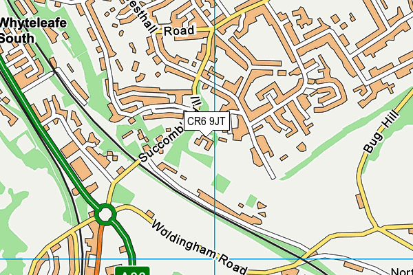 CR6 9JT map - OS VectorMap District (Ordnance Survey) CR6 9JT map - OS VectorMap District (Ordnance Survey)