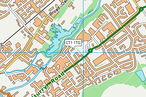 CT1 1TG map - OS VectorMap District (Ordnance Survey) CT1 1TG map - OS VectorMap District (Ordnance Survey)
