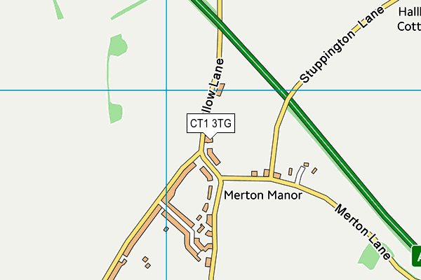 CT1 3TG map - OS VectorMap District (Ordnance Survey) CT1 3TG map - OS VectorMap District (Ordnance Survey)