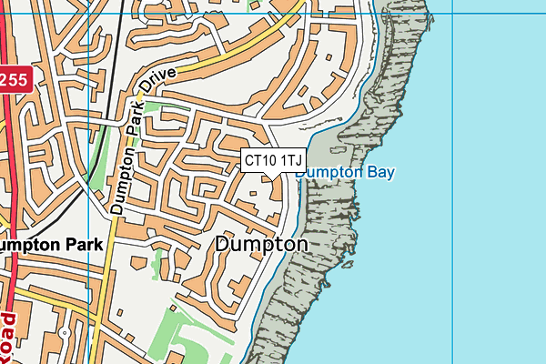 CT10 1TJ map - OS VectorMap District (Ordnance Survey) CT10 1TJ map - OS VectorMap District (Ordnance Survey)