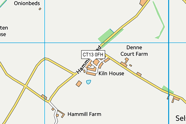 CT13 0FH map - OS VectorMap District (Ordnance Survey) CT13 0FH map - OS VectorMap District (Ordnance Survey)