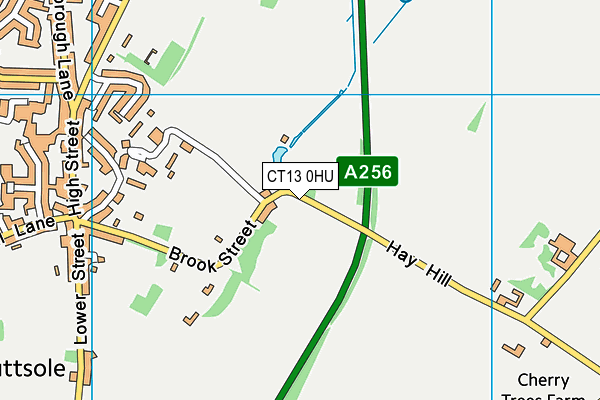 CT13 0HU map - OS VectorMap District (Ordnance Survey) CT13 0HU map - OS VectorMap District (Ordnance Survey)