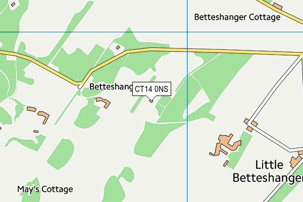 CT14 0NS map - OS VectorMap District (Ordnance Survey) CT14 0NS map - OS VectorMap District (Ordnance Survey)