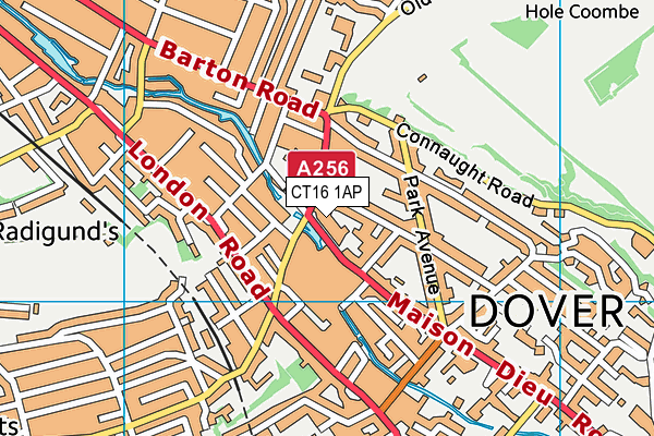 CT16 1AP map - OS VectorMap District (Ordnance Survey) CT16 1AP map - OS VectorMap District (Ordnance Survey)