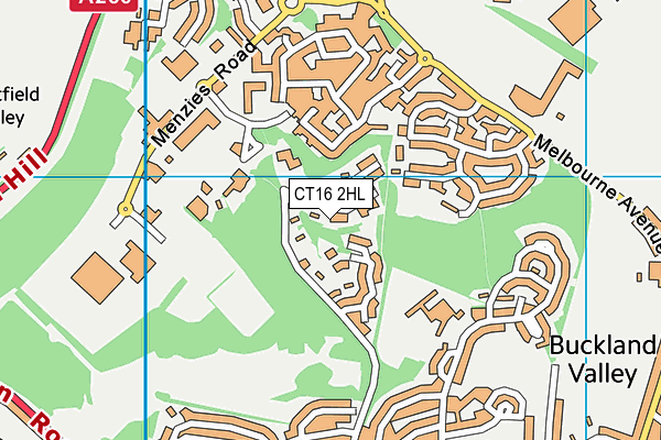 CT16 2HL map - OS VectorMap District (Ordnance Survey) CT16 2HL map - OS VectorMap District (Ordnance Survey)