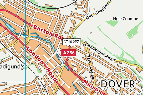 CT16 2PZ map - OS VectorMap District (Ordnance Survey)