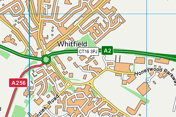 CT16 3PJ map - OS VectorMap District (Ordnance Survey) CT16 3PJ map - OS VectorMap District (Ordnance Survey)
