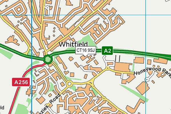 CT16 9SJ map - OS VectorMap District (Ordnance Survey) CT16 9SJ map - OS VectorMap District (Ordnance Survey)