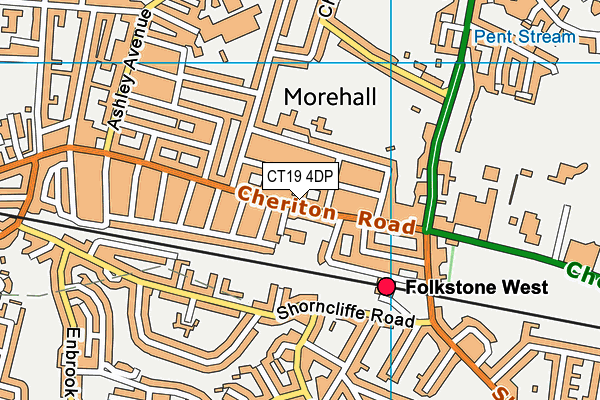 CT19 4DP map - OS VectorMap District (Ordnance Survey) CT19 4DP map - OS VectorMap District (Ordnance Survey)