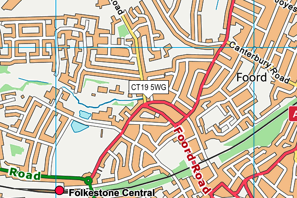 CT19 5WG map - OS VectorMap District (Ordnance Survey) CT19 5WG map - OS VectorMap District (Ordnance Survey)