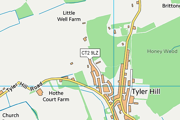 CT2 9LZ map - OS VectorMap District (Ordnance Survey) CT2 9LZ map - OS VectorMap District (Ordnance Survey)