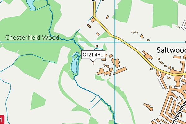CT21 4HL map - OS VectorMap District (Ordnance Survey) CT21 4HL map - OS VectorMap District (Ordnance Survey)