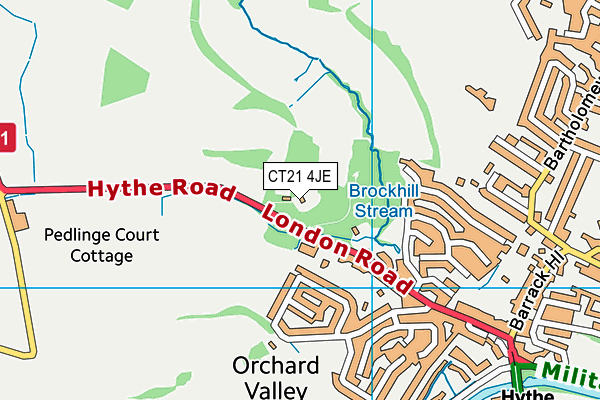 CT21 4JE map - OS VectorMap District (Ordnance Survey) CT21 4JE map - OS VectorMap District (Ordnance Survey)