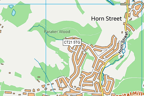 CT21 5TG map - OS VectorMap District (Ordnance Survey) CT21 5TG map - OS VectorMap District (Ordnance Survey)