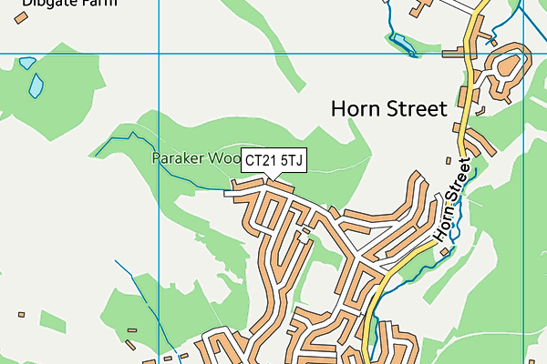 CT21 5TJ map - OS VectorMap District (Ordnance Survey) CT21 5TJ map - OS VectorMap District (Ordnance Survey)
