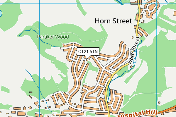 CT21 5TN map - OS VectorMap District (Ordnance Survey) CT21 5TN map - OS VectorMap District (Ordnance Survey)