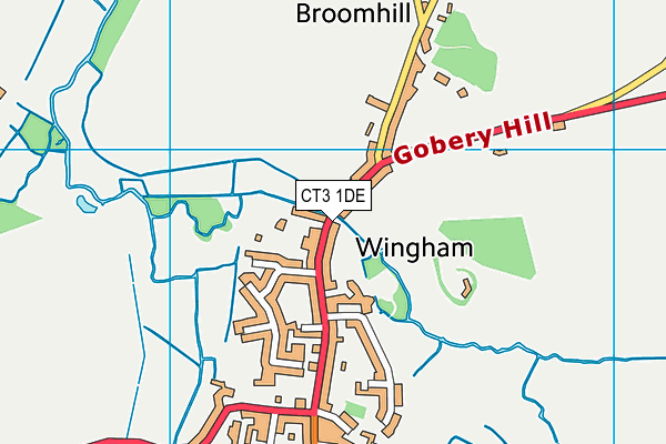 CT3 1DE map - OS VectorMap District (Ordnance Survey) CT3 1DE map - OS VectorMap District (Ordnance Survey)