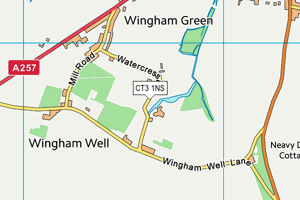 CT3 1NS map - OS VectorMap District (Ordnance Survey) CT3 1NS map - OS VectorMap District (Ordnance Survey)