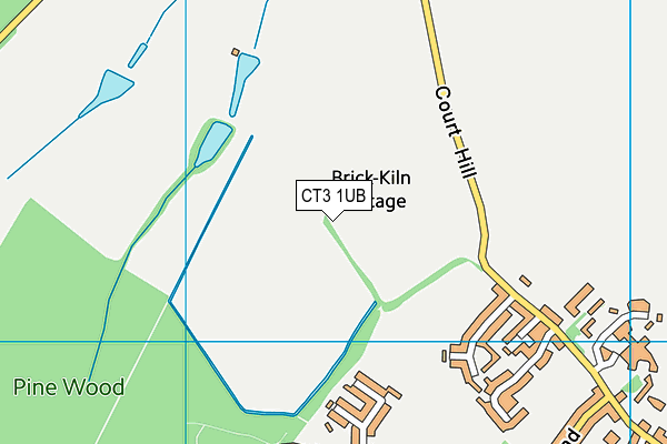 CT3 1UB map - OS VectorMap District (Ordnance Survey) CT3 1UB map - OS VectorMap District (Ordnance Survey)