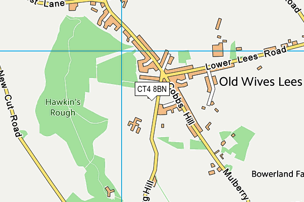 CT4 8BN map - OS VectorMap District (Ordnance Survey) CT4 8BN map - OS VectorMap District (Ordnance Survey)