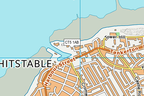 CT5 1AB map - OS VectorMap District (Ordnance Survey) CT5 1AB map - OS VectorMap District (Ordnance Survey)