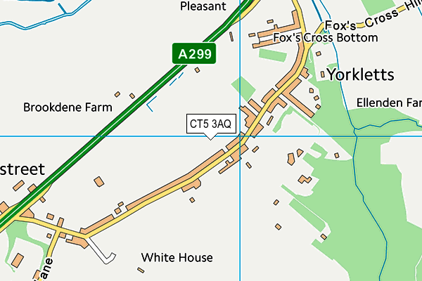 CT5 3AQ map - OS VectorMap District (Ordnance Survey) CT5 3AQ map - OS VectorMap District (Ordnance Survey)