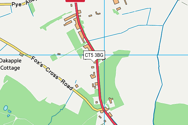 CT5 3BG map - OS VectorMap District (Ordnance Survey) CT5 3BG map - OS VectorMap District (Ordnance Survey)