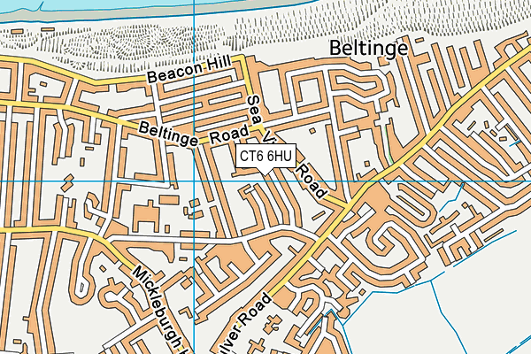 CT6 6HU map - OS VectorMap District (Ordnance Survey) CT6 6HU map - OS VectorMap District (Ordnance Survey)
