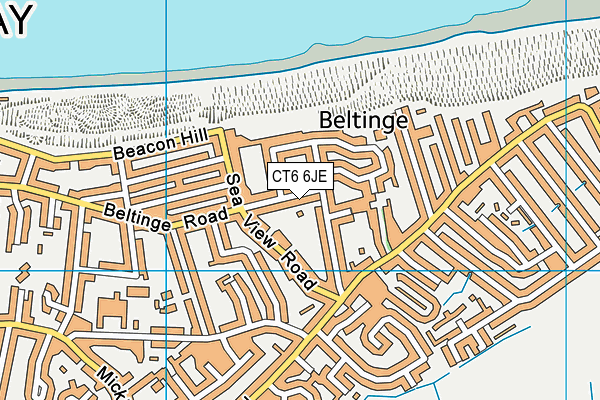 CT6 6JE map - OS VectorMap District (Ordnance Survey) CT6 6JE map - OS VectorMap District (Ordnance Survey)