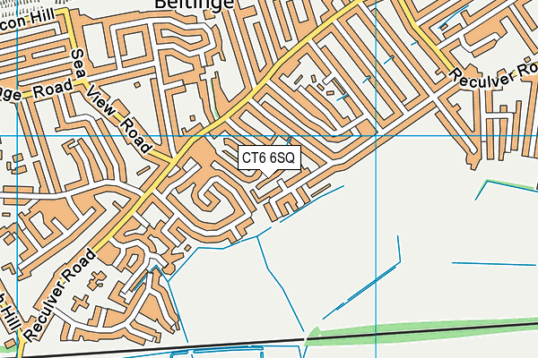 CT6 6SQ map - OS VectorMap District (Ordnance Survey) CT6 6SQ map - OS VectorMap District (Ordnance Survey)