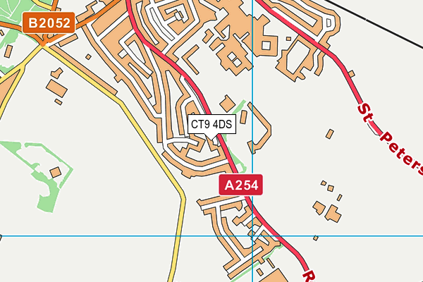 CT9 4DS map - OS VectorMap District (Ordnance Survey) CT9 4DS map - OS VectorMap District (Ordnance Survey)
