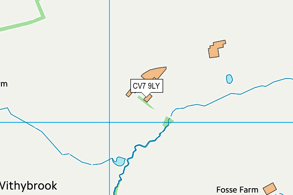CV7 9LY map - OS VectorMap District (Ordnance Survey) CV7 9LY map - OS VectorMap District (Ordnance Survey)