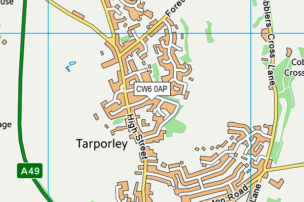 CW6 0AP map - OS VectorMap District (Ordnance Survey) CW6 0AP map - OS VectorMap District (Ordnance Survey)